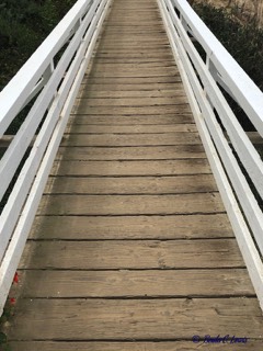 Stacks Image 21